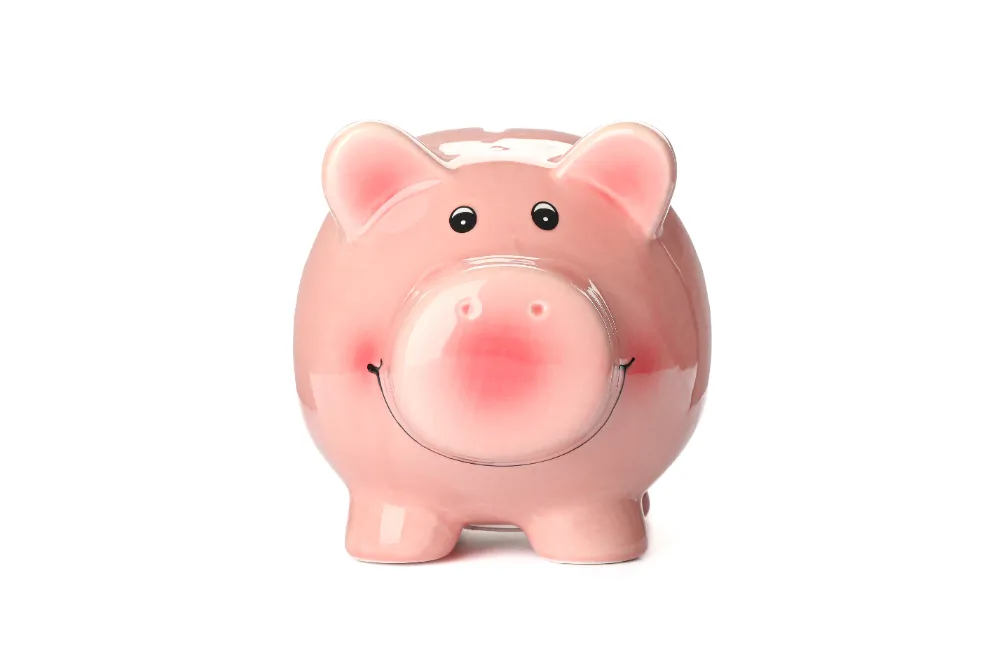 Happy piggy bank isolated on white background. Finance, saving money